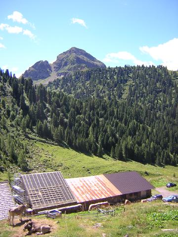Malga delle Stue bassa