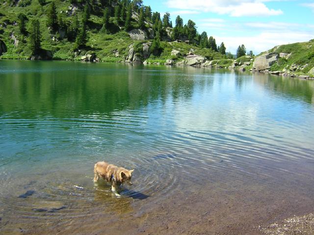 Artik nel Lago delle Stellune