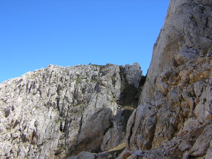 nel cuore del Latemar