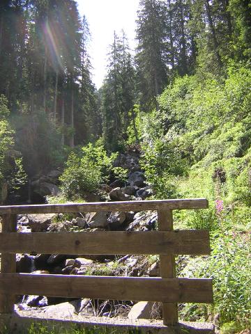 ponticello (siamo gi fuori strada)