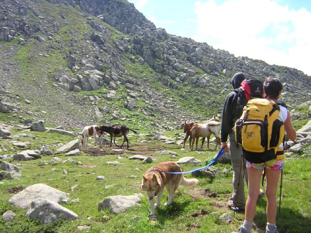 cavalli in riva ai laghetti delle Aie