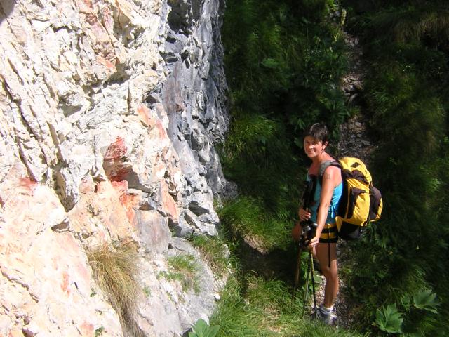 iscrizioni di pastori in Val Averta