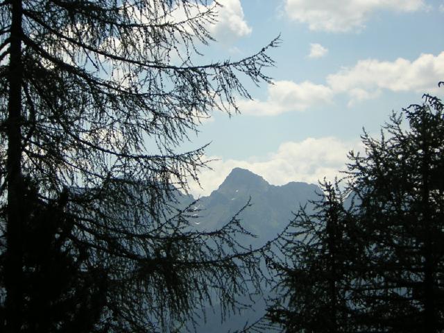 i Lagorai dalla Val Averta