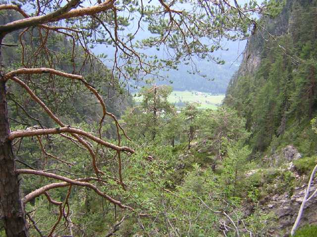 Val Averta, verso Ziano