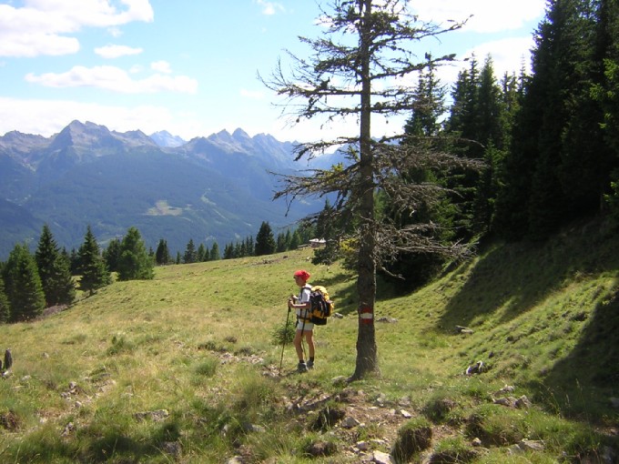 albero con segnavia, sopra la malga dele Vache