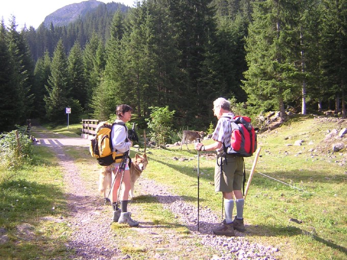 in partenza dalla Malga di Valmaggiore