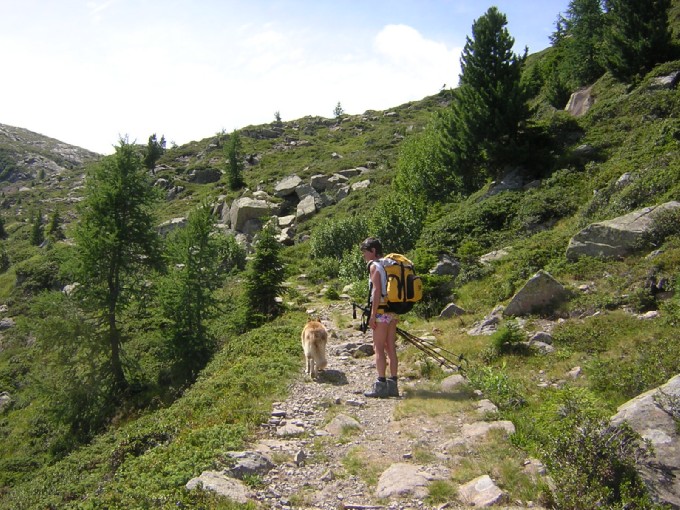 sopra Malga di Moregna