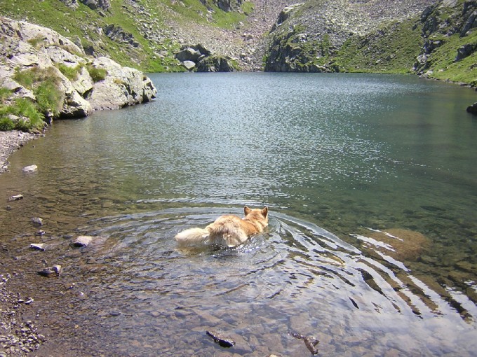 Lago Brutto, il bagno di Artik