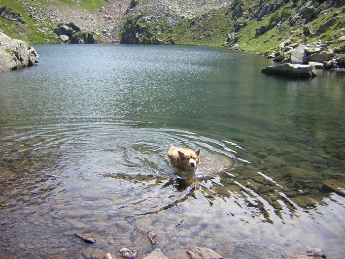 Lago Brutto, il bagno di Artik