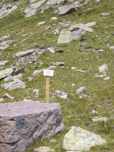 forcella di Moregna