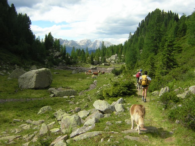 scendendo dal bivacco Paolo e Nicola alla forcella di Valmaggiore