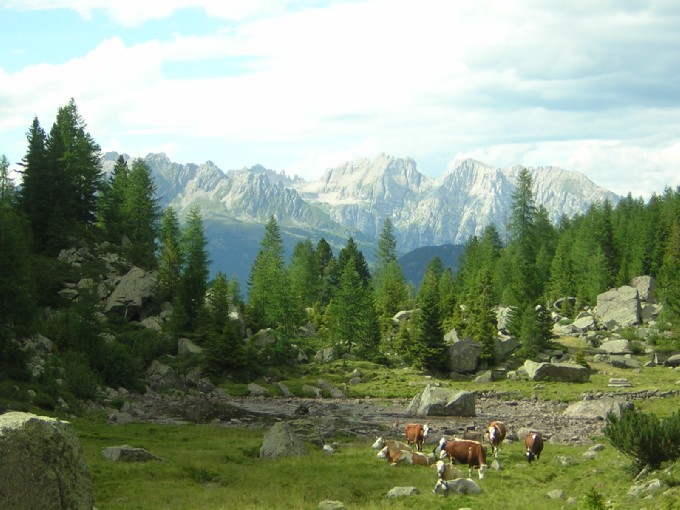 scendendo dal bivacco Paolo e Nicola alla forcella di Valmaggiore
