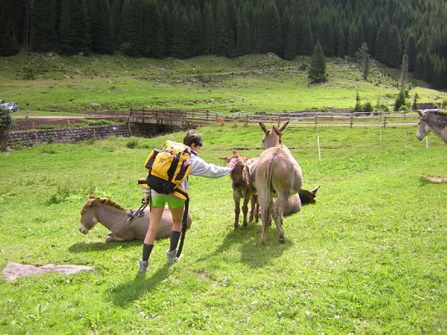 Anna e l'asinello di pochi giorni