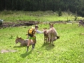 Anna e l'asinello di pochi giorni