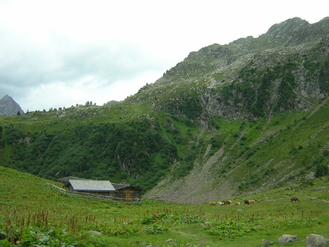 Malga Moregna