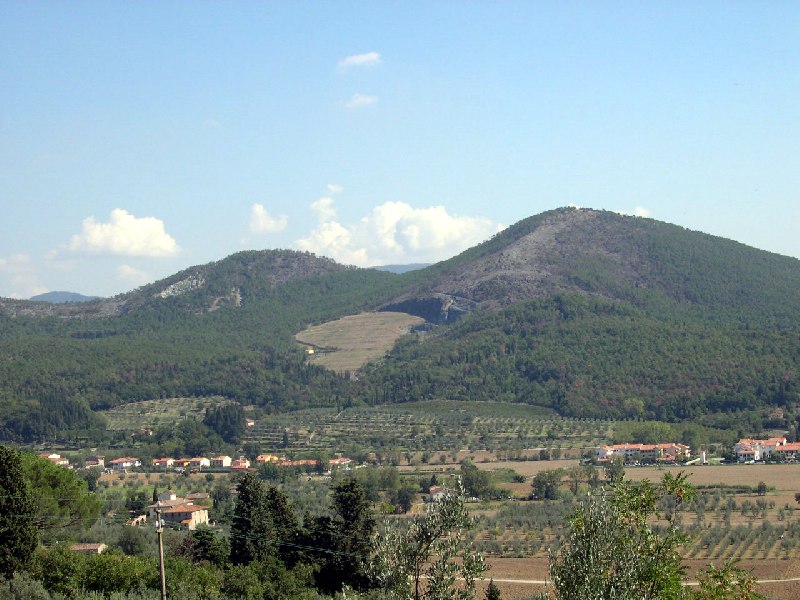 Monteferrato verso: un'altra immagine delle volpaie nei tre colli ofiolitico del Monteferrato