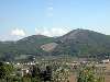 Monteferrato verso: un'altra immagine delle volpaie nei tre colli ofiolitico del Monteferrato