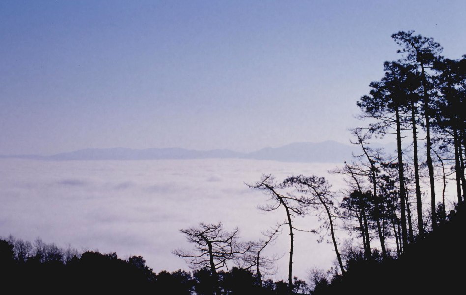 gennaio 2006, nebbia nella piana verso Prato