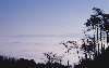 gennaio 2006, nebbia nella piana verso Prato