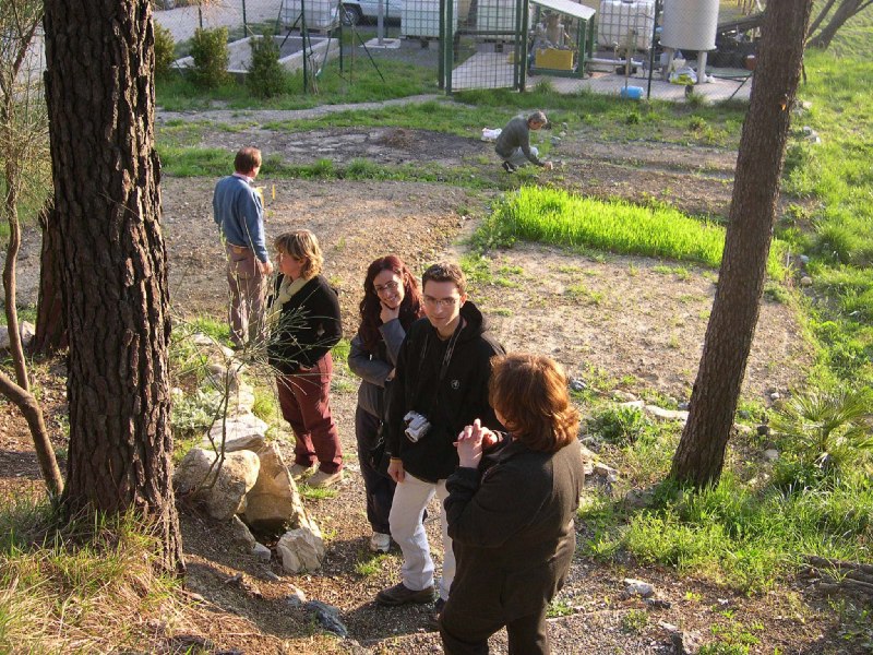 una passeggiata alle Volpaie con visita alla aiuola delle Orchidee