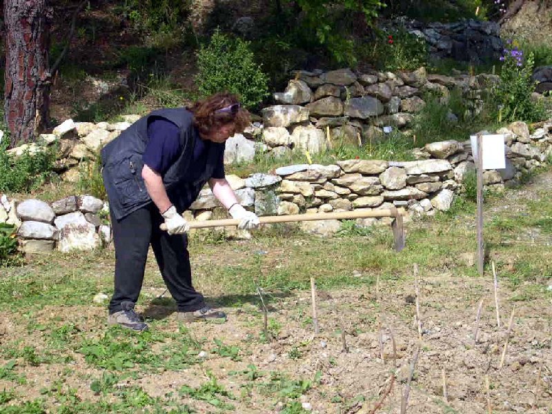 le aiuole della calvana e l'orto agli albori prima di realizzare le nuove aiuole in legno