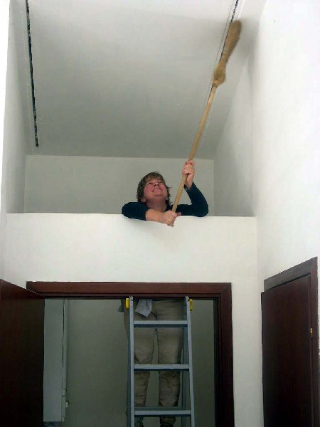 si levano le ragnatele dal soffitto del centrovisite