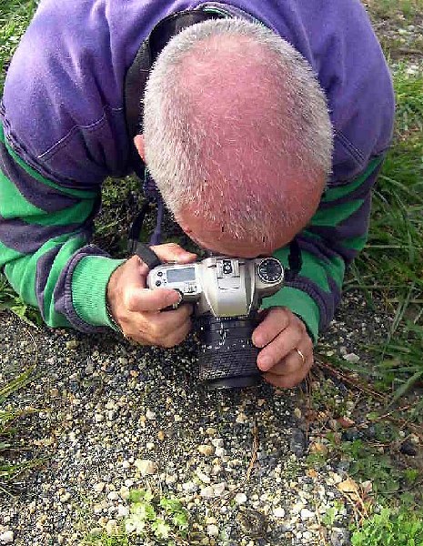 si trova sempre un momento per dedicarsi con passione alla natura e distendersi a terra a fotografare un insetto