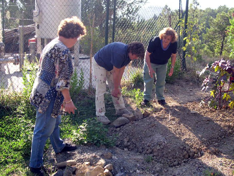 si prepara il terreno per la messa a dimora di nuove piante ortive