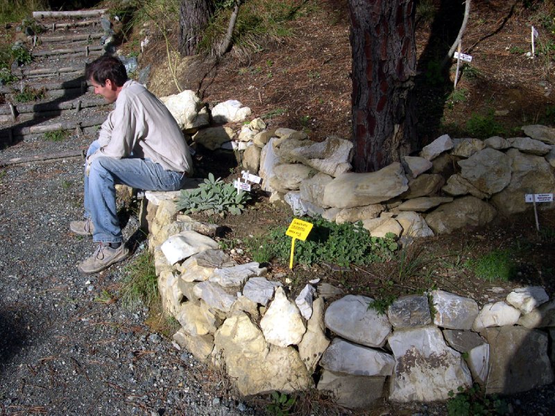un attimo di riposo fra le orchidee