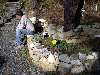un attimo di riposo fra le orchidee