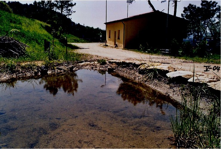  Immagine primaverile del Laghetto del pettirosso e del Centro Visite, sullo sfondo il belvedere sulla piana. Il laghetto  nato nel gennaio 2004 ed ha subito lavori di impermeabilizzazione ed ampliamento nel 2005 cos che oggi possiamo gi parlare di questa piccola pozza dacqua come di un piccolo stagno naturalizzato con specie animali e vegetali che vanno via via colonizzandolo rendendogli un reale valore ecologico. Destate la pozza si secca ma questo  un aspetto del tutto naturale che anzi tende a selezionare le specie in esso viventi. E alimentato dal canale dagio, scavato in terra e roccia serpentinose da daniele e giovanni che capta lacqua superficiale, piovana, da almeno trecento metri a monte. Lacqua che fuoriesce prosegue il percorso verso il rio secco andando a bagnare lago scuro.  Da notare come alle Volpaie tutto abbia un nomignolo esempio la pala che giovanni e tutti poi abbiamo usato per scavare nello stretto si chiama giovanna. Cos che adesso possiamo urlarci a distanza: ce lhai te la giovanna?