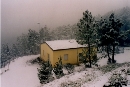 25 gennaio 2004. Domenica mattina nella neve. Si sale alle volpaie a piedi anche per limpraticabilit della strada e si scattano foto per loccasione ma quel giorno a tradire la reale vocazione di questarea geografica pi mediterranea che continentale ecco spuntare i primi fiori di bucaneve Galanthus nivalis, qui alle volpaie riportato ma comunissimo appena fuori dove forma incantevoli distese fiorite proprio a gennaio