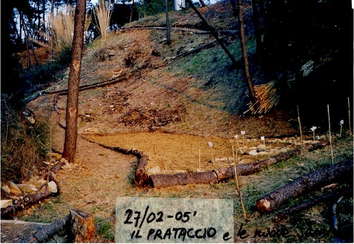 Il prataccio: insieme a parte di lago scuro a questo adiacente era la discarica dei calcinacci. E stato abbastanza bonificato dalle sterpaglie erbacce e rovi,  e vi  stato aperto un ripido sentiero che scende verso lago scuro. Vi si trovano ancora pezzi di mattonella, di asfalto, pozzetti in cemento, materiale elettrico, polistirolo gomme per auto etc. stiamo cercando di inserire piante ed arbusti. Destate  invaso da varie piantacce infestanti che del terreno di riporto fanno la loro arma migliore