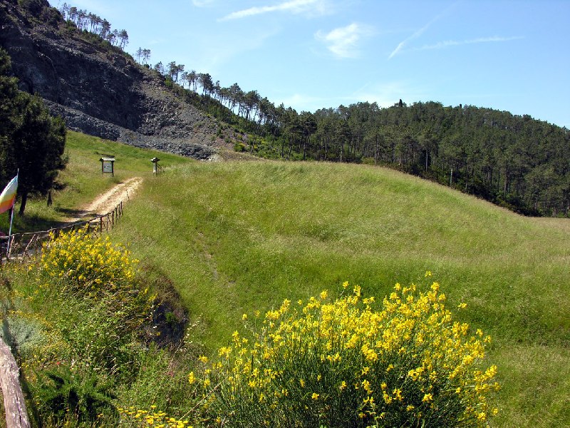 ginestre a maggio con vedute dal Belvedere