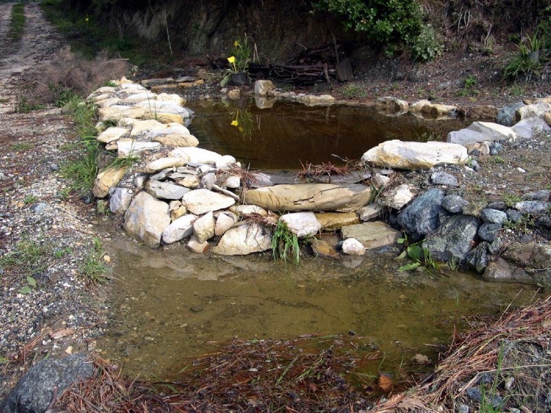 Laghetto pettirosso dopo la piena:   dopo la pioggia continua ad arrivare acqua dal canale DAGIO e le briglie colme d'acqua e detriti restano invisibili