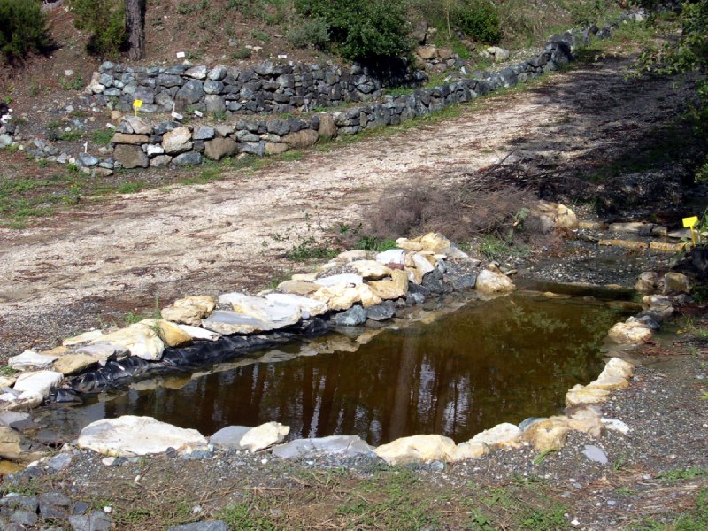 un'immagine su stradon dello gnomo e l'aiuola delle serpentinofite