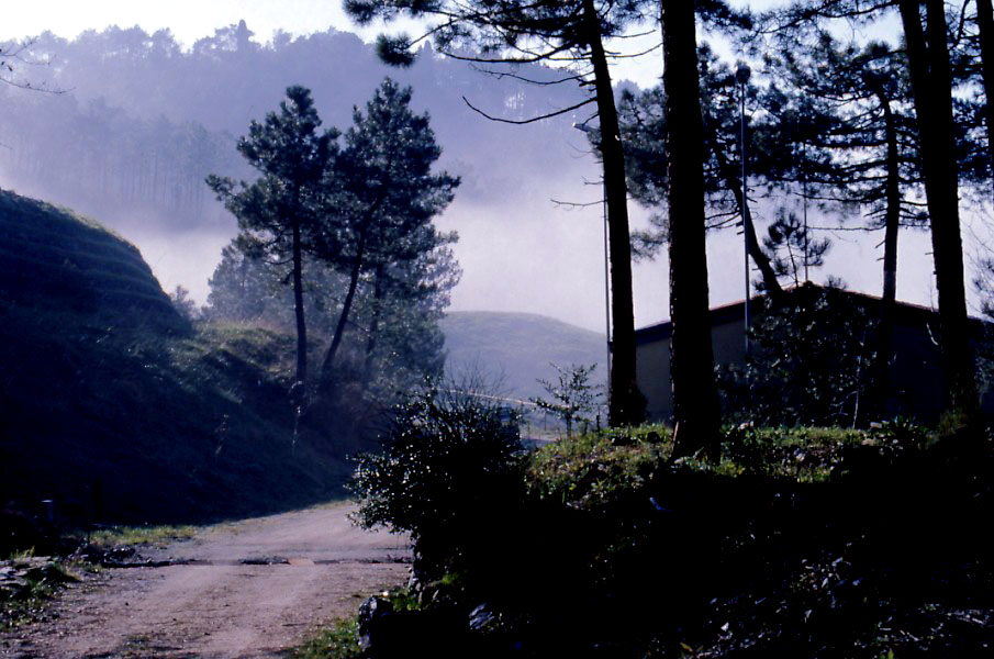 Sale la nebbia: la nebbia sta per avvolgere le Volpaie - gennaio 2005