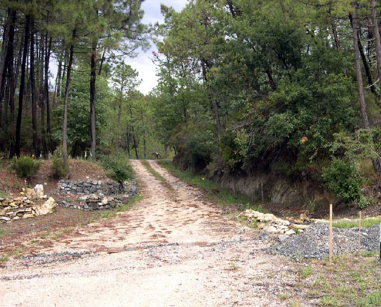 Viale d'ingresso: stradon dello gnomo; diventa l'immagine pi ricorrente per chi frequenta spesso le Volpaie.