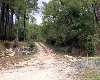 Viale d'ingresso: stradon dello gnomo; diventa l'immagine pi ricorrente per chi frequenta spesso le Volpaie.